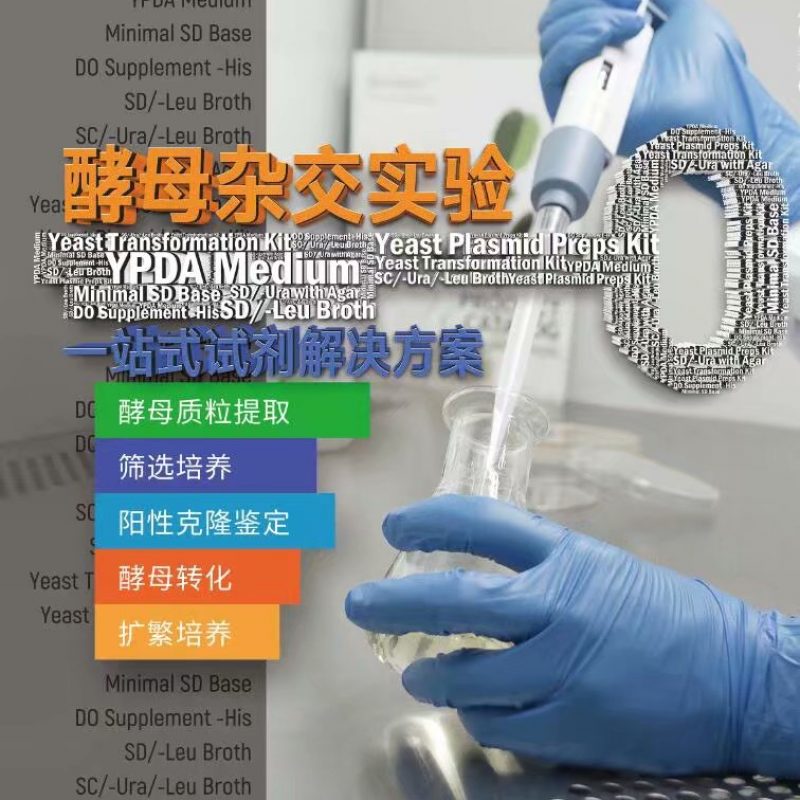 酵母杂交系列试剂